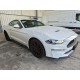 2019 Ford Mustang Basis Fastback