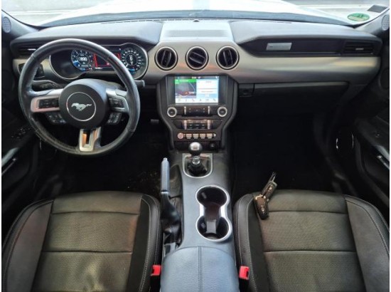2019 Ford Mustang Basis Fastback